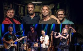 DeZabura / Do větru